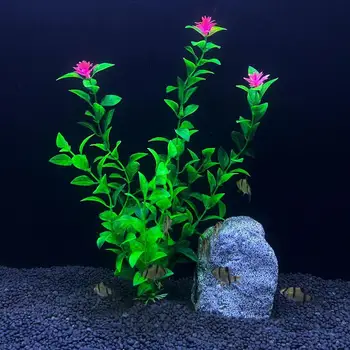 Akvariumo augalai Dirbtiniai augalai Vandens piktžolės Ornamentas Vandens augalas Žuvų bakas Žolės dekoravimas Gėlo vandens