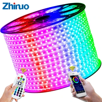 RGB LED juostos lankstūs žibintai SMD5050 vandeniui atsparūs AC220V 230V 240V Neoninės šviesos nuotolinio valdymo pultas Vakarėlis Svetainė Namų dekoras 